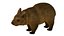 wombat low-poly 3D model