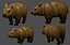 wombat low-poly 3D model