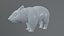 wombat low-poly 3D model