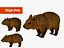 wombat low-poly 3D model