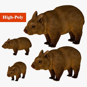 wombat low-poly 3D model