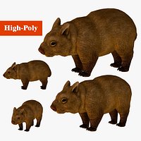 wombat rig  high-poly  textured