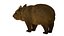 wombat low-poly 3D model