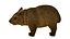wombat low-poly 3D model