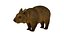 wombat low-poly 3D model