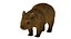 wombat low-poly 3D model