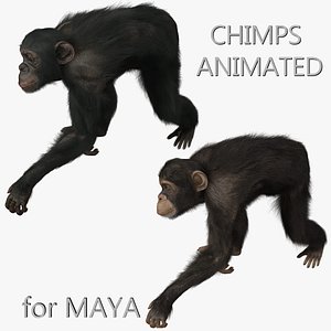 maya chimps fur animation