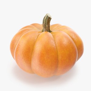 3ds pumpkin photorealistic
