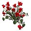 Biblioteca XfrogPlants Flowers 1