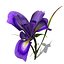 Biblioteca XfrogPlants Flowers 1