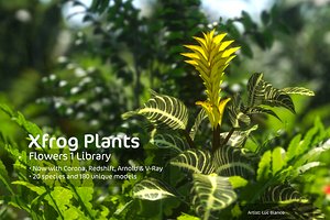 2020 XfrogPlants Flowers 1 Library