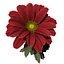 Biblioteca XfrogPlants Flowers 1