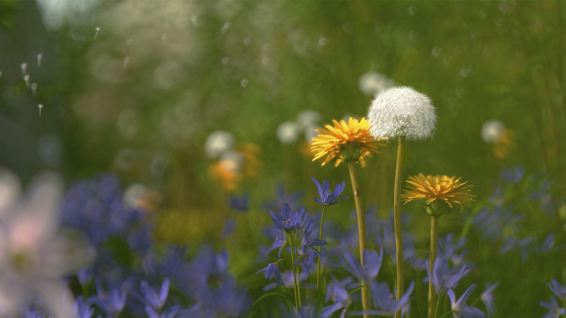 3ds max flowers 1 dvd mixed https://p.turbosquid.com/ts-thumb/Oq/IQ7toh/vq/wallidandelion/jpg/1617131097/1920x1080/fit_q87/517b857ce92df6056b5c3b0eafbbb673c605d337/wallidandelion.jpg