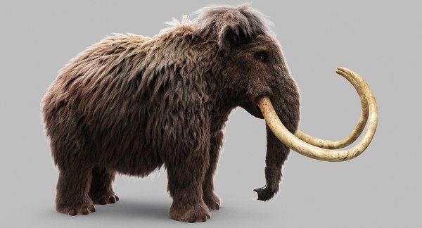 Wolly mammoth 3D - TurboSquid 1218167