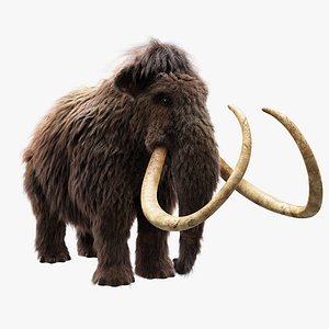 wolly mammoth 3D