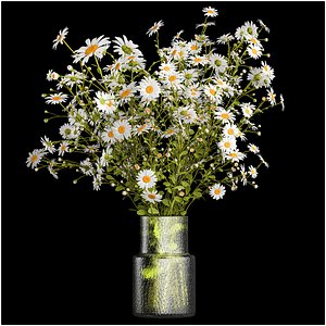 Bouquet of white wildflowers chamomile daisies 412 3D