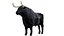 Modelo 3D de toro