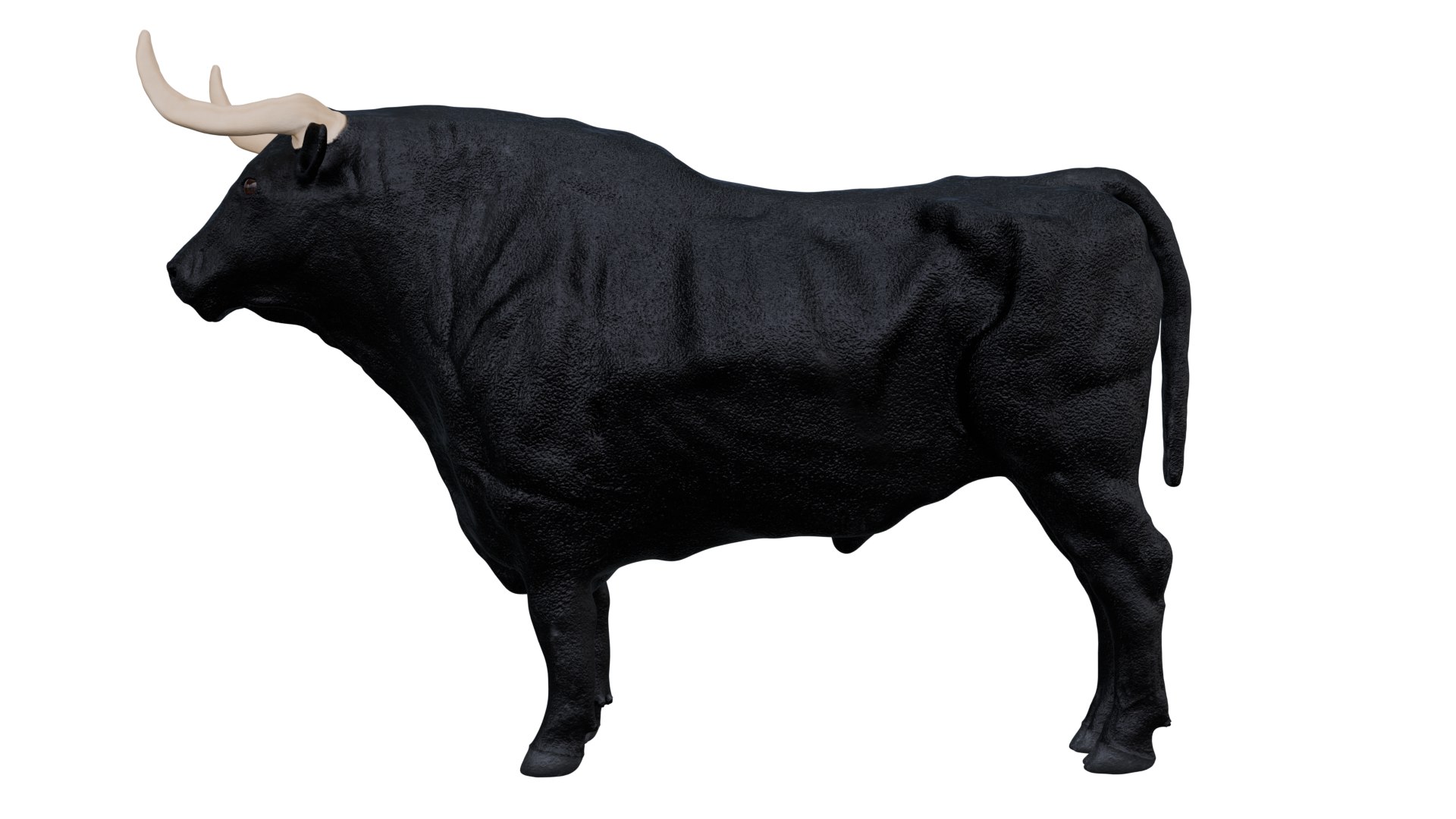 3D model Bull 3d https://p.turbosquid.com/ts-thumb/Oq/SZelz3/cK/6/png/1732439698/1920x1080/fit_q87/5caf52f130f73074d236d6106300af7a713a1df2/6.jpg