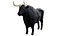 Modelo 3D de toro