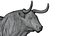 Modelo 3D de toro