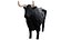 Modelo 3D de toro