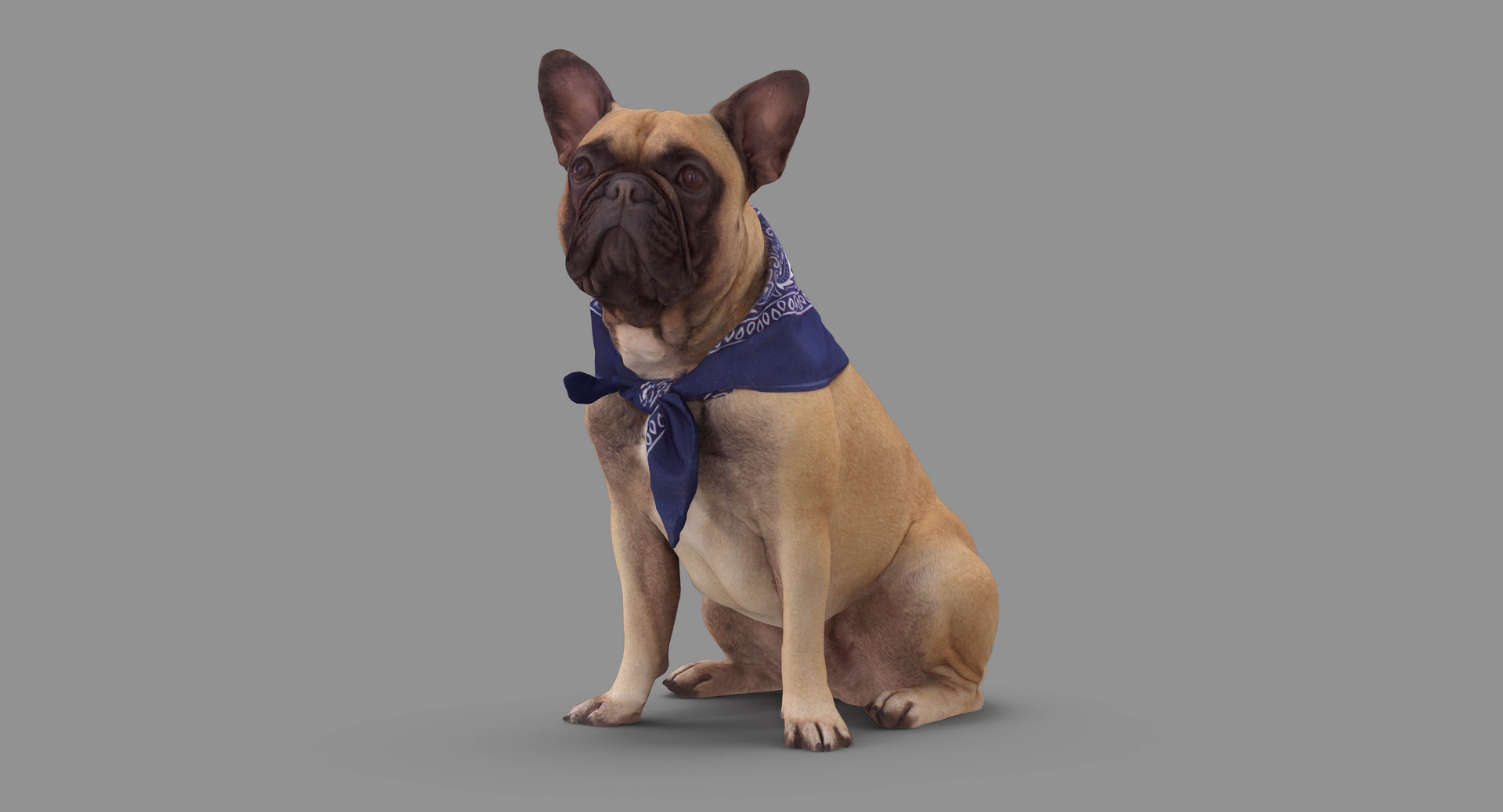 3D dog x4 https://p.turbosquid.com/ts-thumb/Oq/UJSjno/bBvgONpz/100000/jpg/1538750089/1920x1080/turn_fit_q99/a8c8f9d4069abbd55e654729ece4c7620917888a/100000-1.jpg