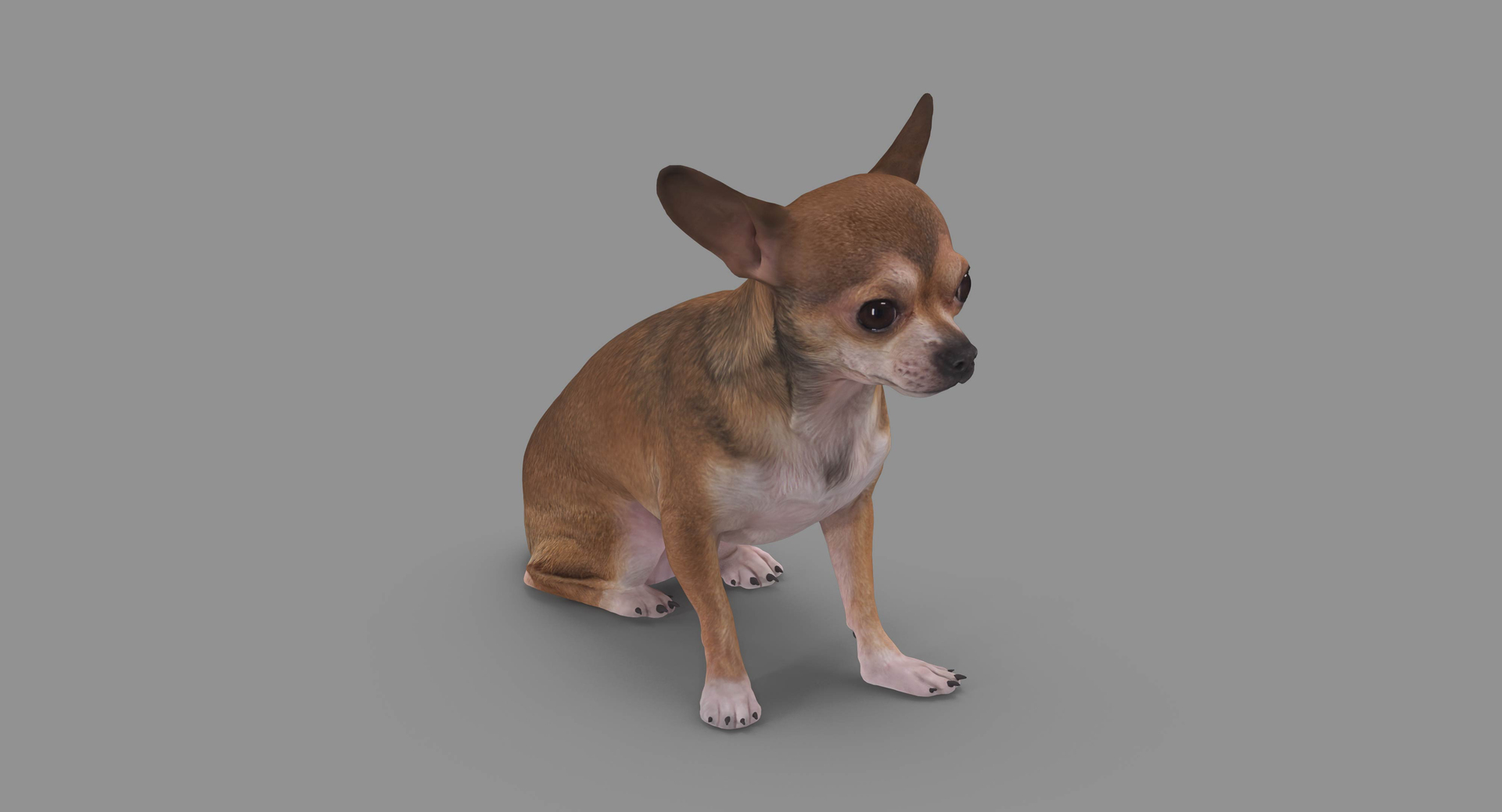 3D dog x4 https://p.turbosquid.com/ts-thumb/Oq/UJSjno/oKD55fg7/100000/jpg/1538750061/1920x1080/turn_fit_q99/4a44a7d083c3581c573448b1e85b6d7e2bc38275/100000-1.jpg