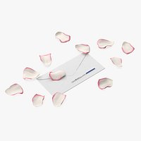 Positive Express Pregnancy Test with Rose Petals