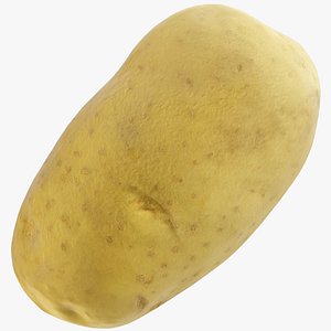 3D Potato V2 model