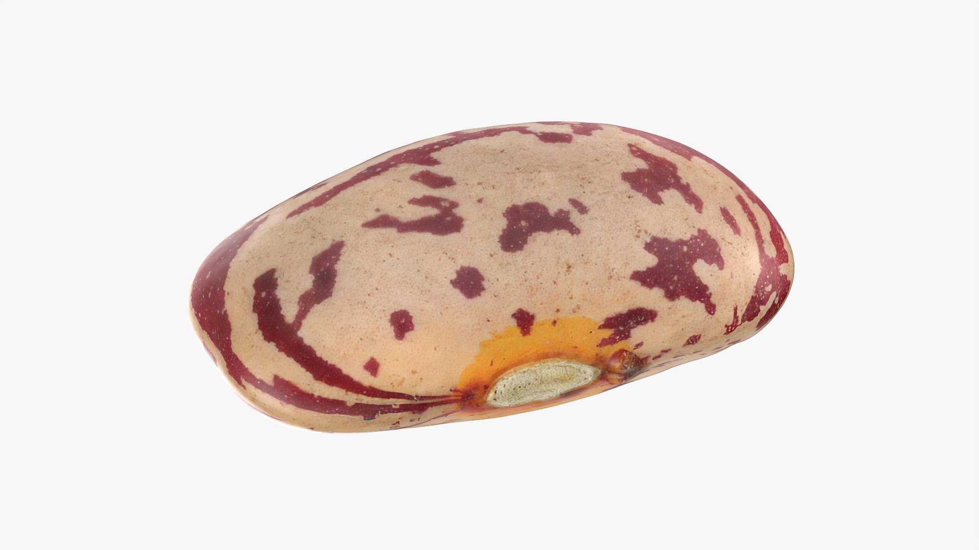 Beans - 3D Scanned Collection 3D model https://p.turbosquid.com/ts-thumb/Oq/m5AQt6/xZ/pintobean01_0001/png/1787649143/1920x1080/fit_q87/d5751477902f5525be0b68f85fc4d0eb038184c0/pintobean01_0001.jpg