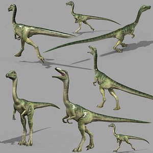 Real Animated Compsognathus - 8K 3D