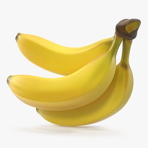 Branch of Ripe Yellow Bananas