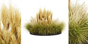 3D Collection plant vol 521 - blender model