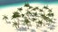 Tropical Island with Palm Trees