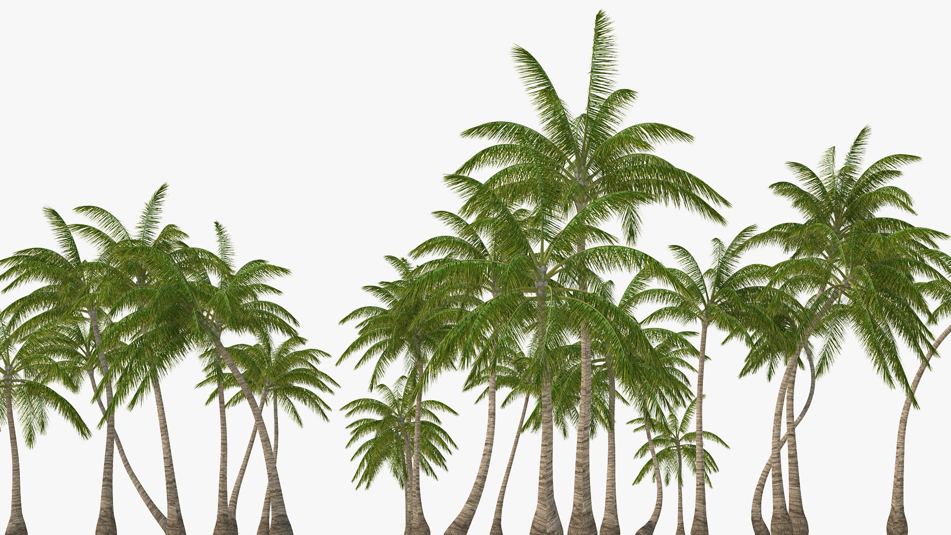 tropical island palm trees 3D model https://p.turbosquid.com/ts-thumb/Oq/smqlqj/LZWcnvHo/tropicalislandwithpalmtreesmb3dmodel008/jpg/1576996767/1920x1080/fit_q87/4cefdd77ff9318ccab8447791e819188e85be71e/tropicalislandwithpalmtreesmb3dmodel008.jpg