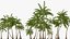 Tropical Island with Palm Trees