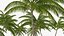 Tropical Island with Palm Trees