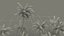 Tropical Island with Palm Trees