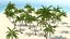 Tropical Island with Palm Trees