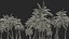 Tropical Island with Palm Trees