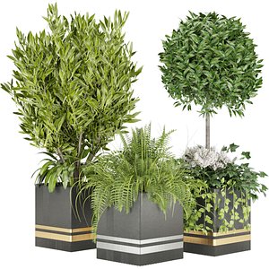 Collection plant vol 31 3D