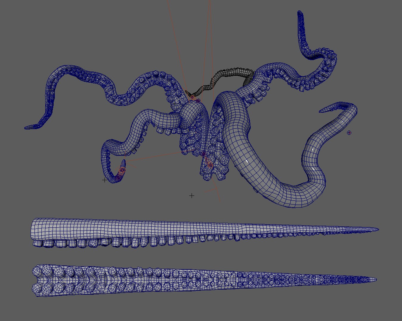 3D Model Octopus Tentacle Rigged - TurboSquid 1558842