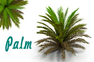 3d max palm