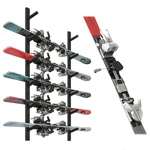 Skis Kit 3D model