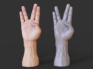 Male Hand Pose 17 model