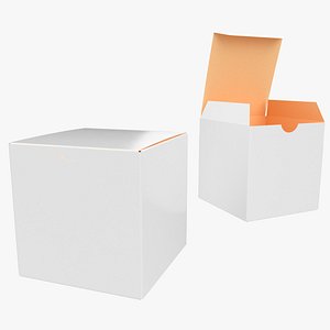10cm Paper Box Closed Opened Unwrapped 3D