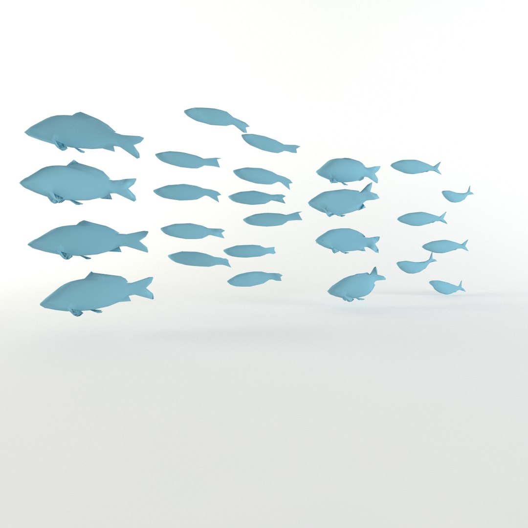 3d Fish Flock