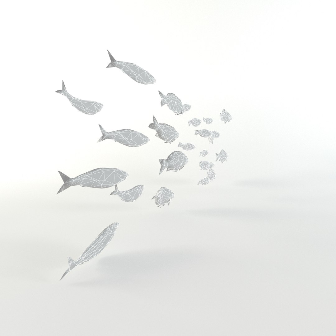 3d Fish Flock