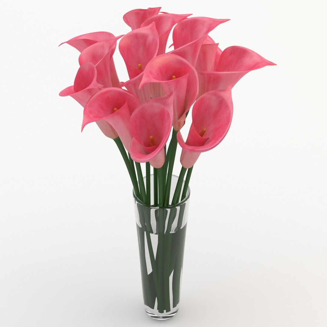 Obj Calla Pink