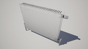 Radiator Heater